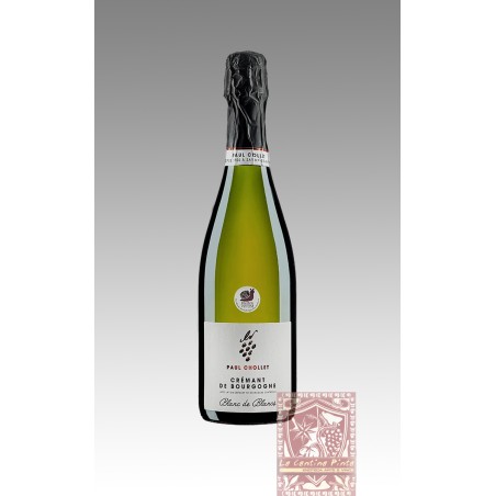 CREMANT DE BOURGOGNE BLANC DE BLANCS - PAUL CHOLLET