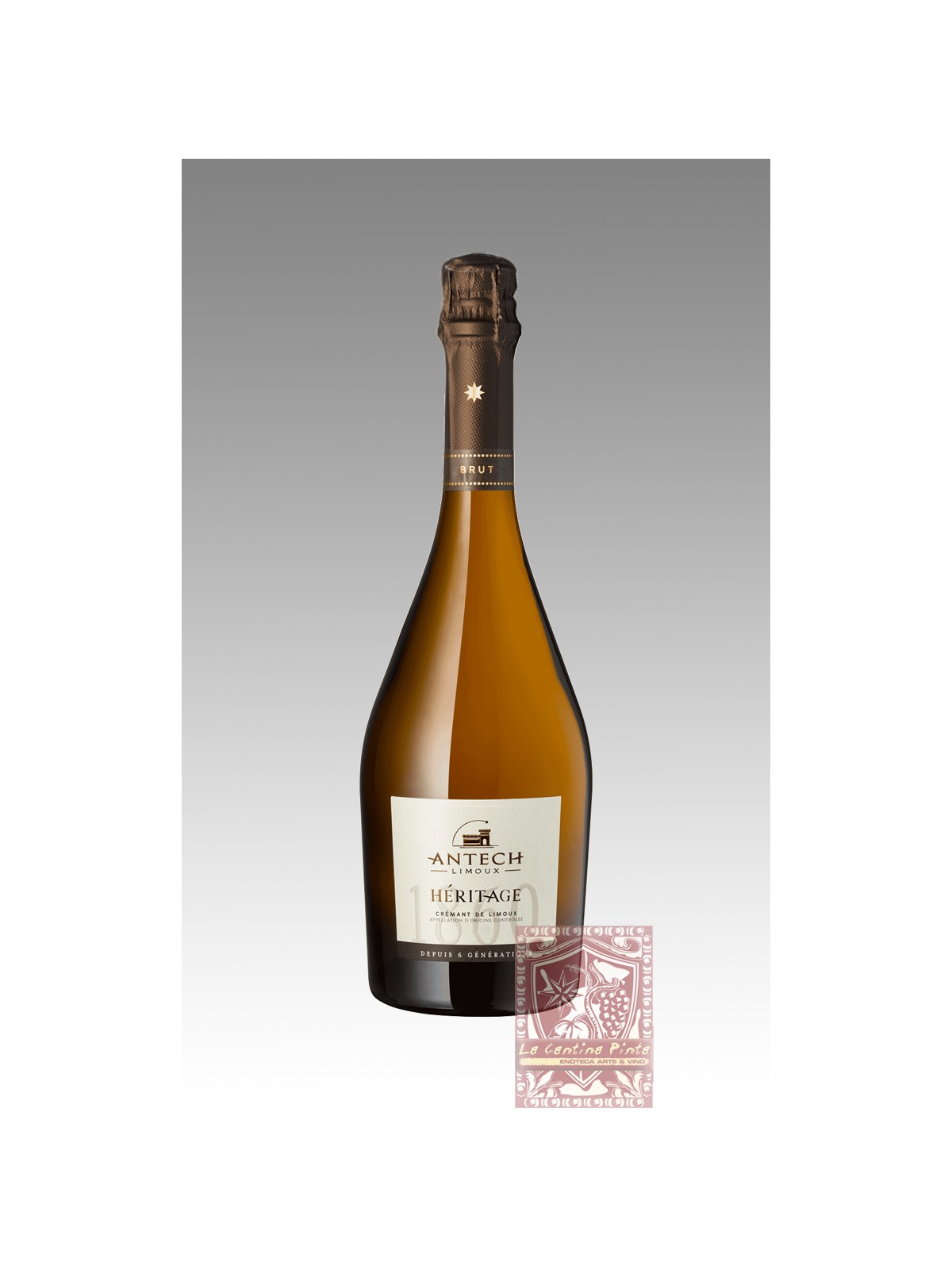 CREMANT DE LIMOUX BRUT CUVEE 2015  HERITAGE  1860 - ANTECH