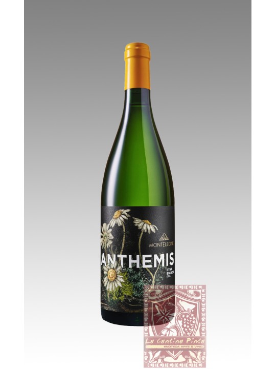 ANTHEMIS ETNA BIANCO 2018 MONTELEONE