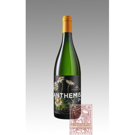 ANTHEMIS ETNA BIANCO 2018 MONTELEONE