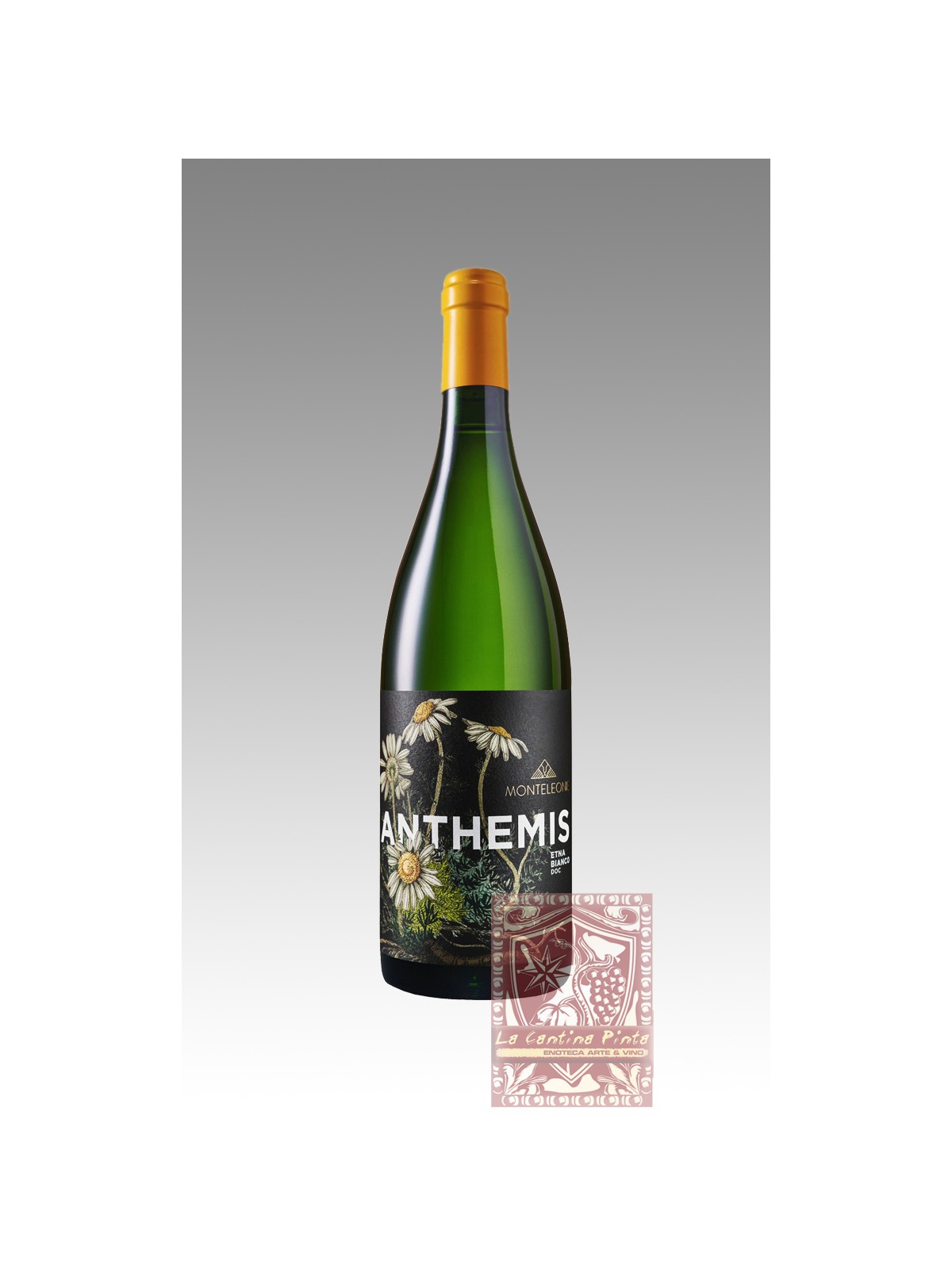 ANTHEMIS ETNA BIANCO 2018 MONTELEONE