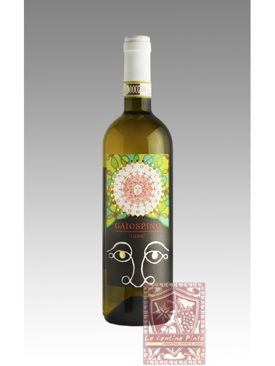 GAIOSPINO FUME' VERDICCHIO DEI CASTELLI DI JESI CLASSICO SUPERIORE 2019 - FATTORIA CORONCINO