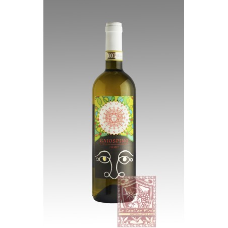 GAIOSPINO FUME' VERDICCHIO DEI CASTELLI DI JESI CLASSICO SUPERIORE 2019 - FATTORIA CORONCINO