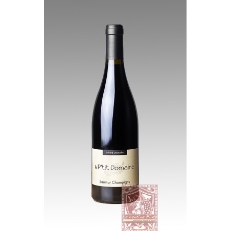 LE P'TIT DOMAINE SAUMUR CHAMPIGNY 2010 - RICHARD DESOUCHE