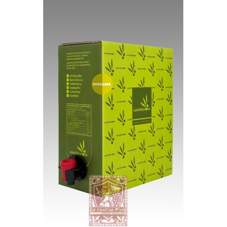 OLIO EXTRAVERGINE DI OLIVA ETICHETTA VERDE NOCELLARA 2024 LATTINA DA 5 LT.- MANDRANOVA
