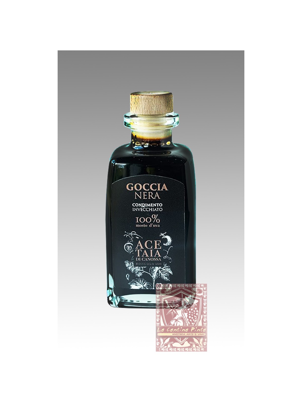 GOCCIA NERA CONDIMENTO INVECCHIATO ALIMENTARE AGRODOLCE 250 ML - ACETAIA DI CANOSSA