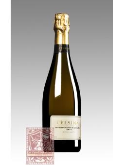 METODO CLASSICO BRUT VSQ - FELSINA