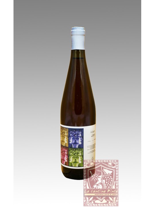 ADAM 2021 GRECO DI TUFO CAMPANIA IGP - CANTINA GIARDINO