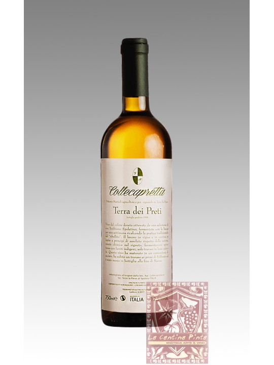 TERRA DEI PRETI 2023 TREBBIANO UMBRIA IGT - COLLECAPRETTA