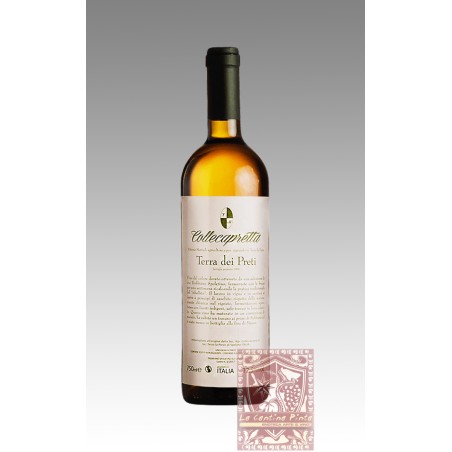 TERRA DEI PRETI 2023 TREBBIANO UMBRIA IGT - COLLECAPRETTA