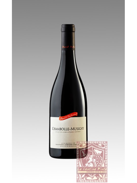 CHAMBOLLE-MUSIGNY PREMIER CRU  LES GRUENCHERS 2005 - DAVID DUBAND
