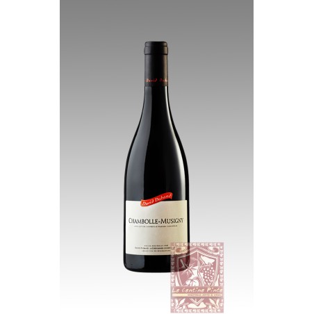 CHAMBOLLE-MUSIGNY PREMIER CRU  LES GRUENCHERS 2005 - DAVID DUBAND