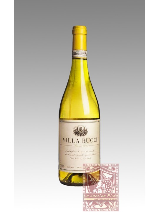 VILLA BUCCI VERDICCHIO DEI CASTELLI DI JESI  RISERVA 2018 - BUCCI -BIO-