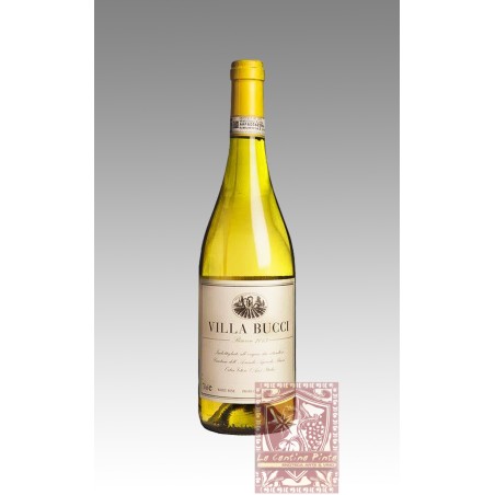 VILLA BUCCI VERDICCHIO DEI CASTELLI DI JESI  RISERVA 2018 - BUCCI -BIO-