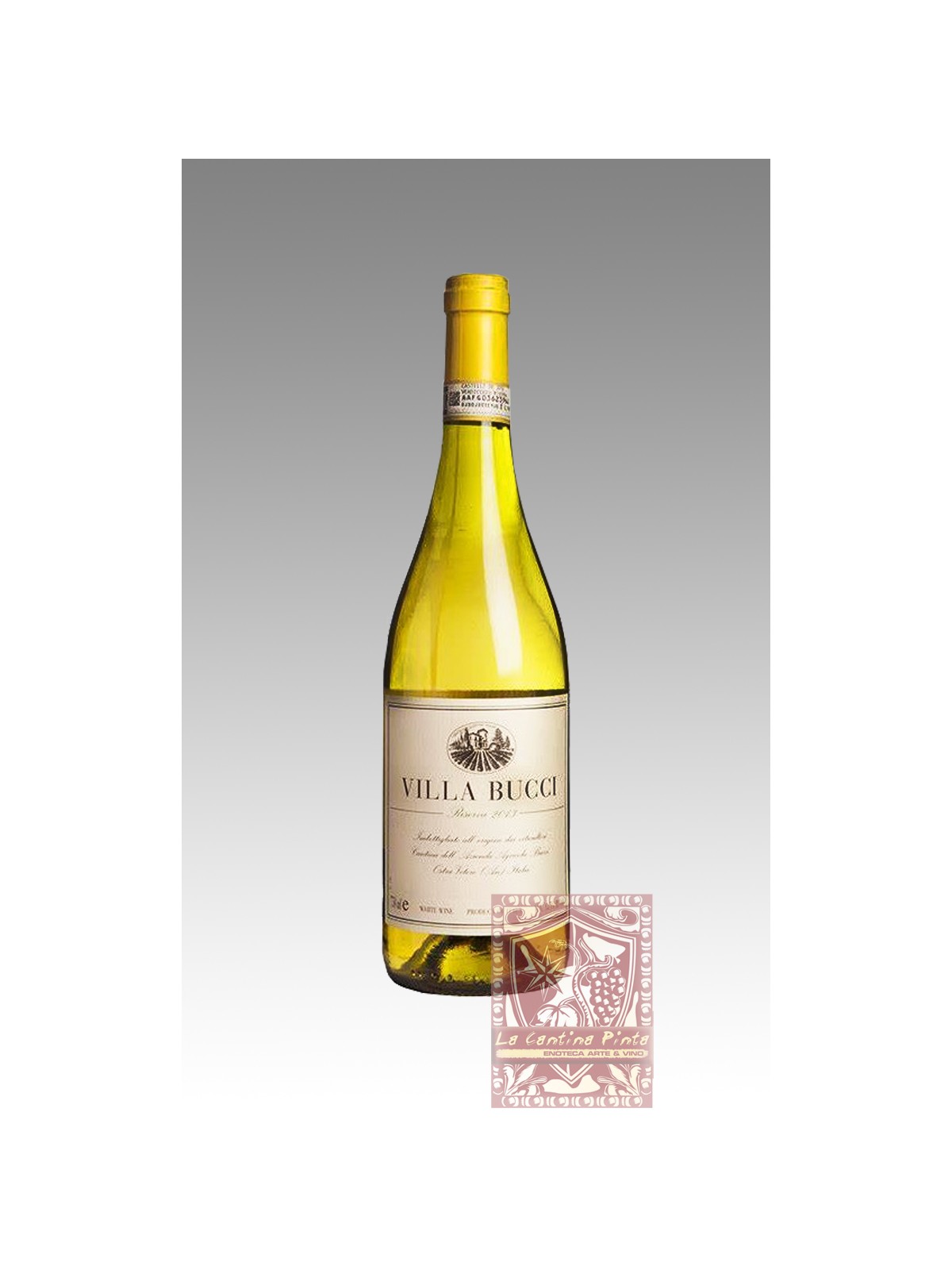 VILLA BUCCI VERDICCHIO DEI CASTELLI DI JESI RISERVA 2018 - BUCCI - BIO