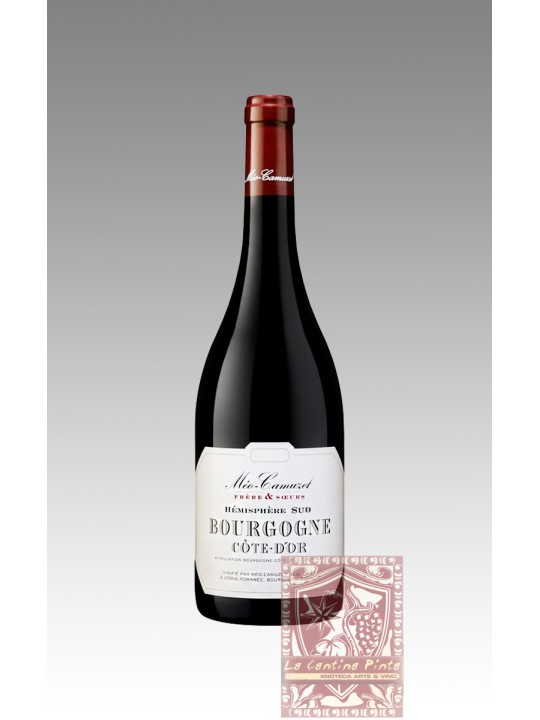 HEMISPHERE SUD  BOURGOGNE COTE D'OR 2020 MEO CAMUZET