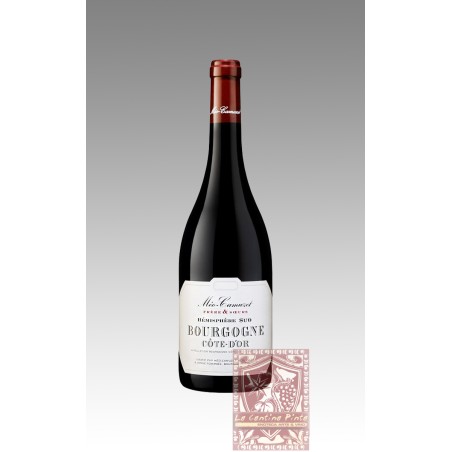 HEMISPHERE SUD  BOURGOGNE COTE D'OR 2020 MEO CAMUZET