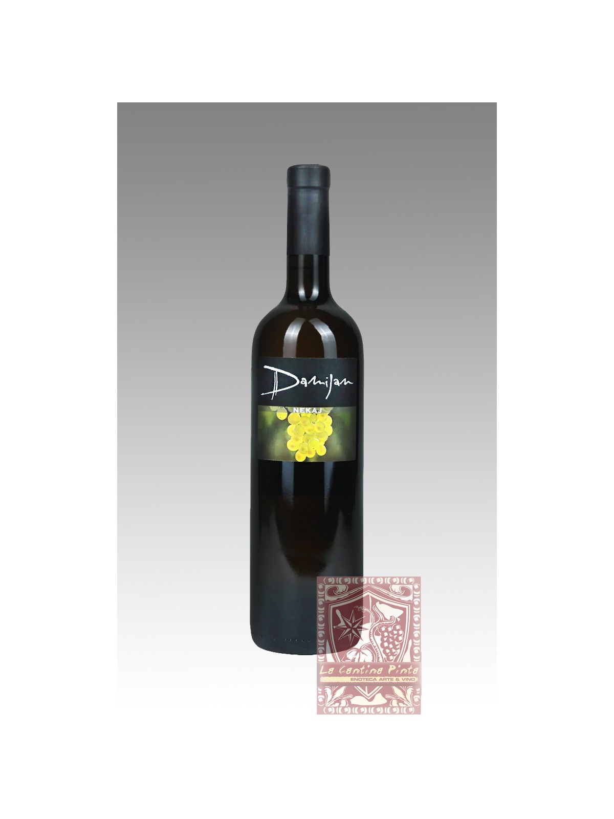 NEKAJ 2010 - PODVERSIC DAMIJAN