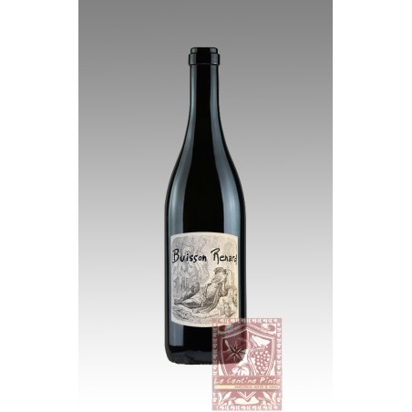 BUISSON RENARD 2020 -DOMAINE  DIDIER DAGUENEAU