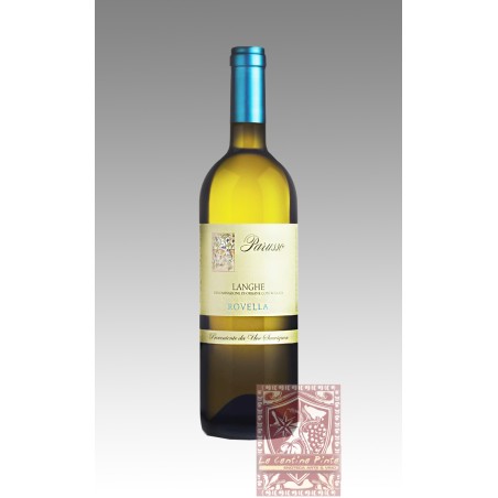 LANGHE SAUVIGNON BLANC BRICCO ROVELLA  2009 - PARUSSO
