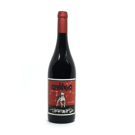 TURRUMPISO 2022 AGLIANICO BENEVENTANO IGT CANLIBERO