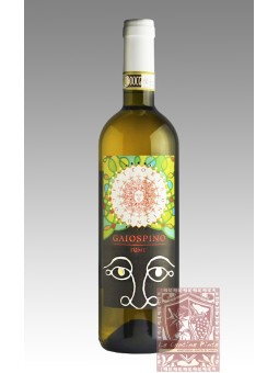 GAIOSPINO FUME' VERDICCHIO DEI CASTELLI DI JESI CLASSICO SUPERIORE 2019 MAGNUM 1,5 lt - FATTORIA CORONCINO