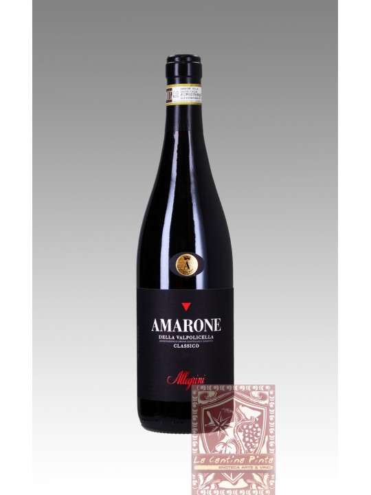 AMARONE CLASSICO 2007 - ALLEGRINI