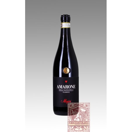 AMARONE CLASSICO 2007 - ALLEGRINI