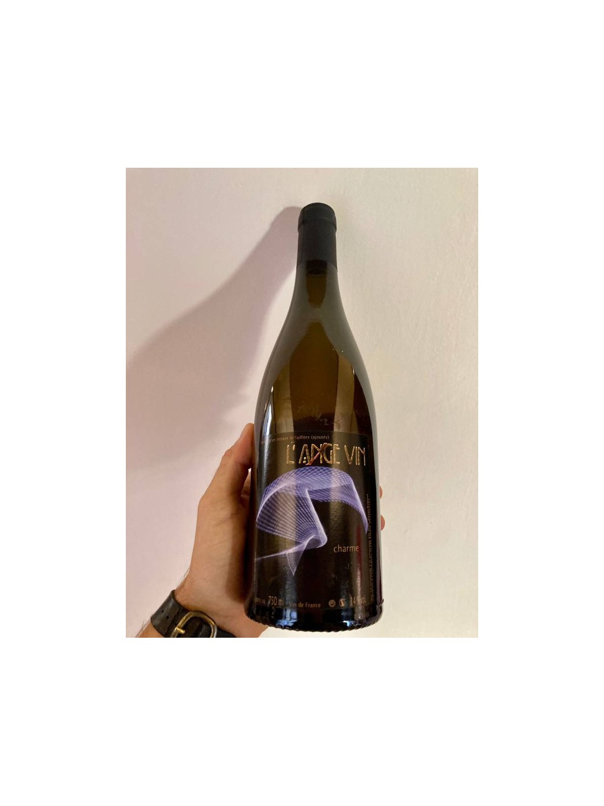 CHARME DU LOIRE 2018 JEAN-PIERRE ROBINOT - L'ANGE VIN