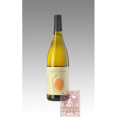 TREBBIANO D'ABRUZZO ANFORA 2019 - FRANCESCO CIRELLI (BIO)