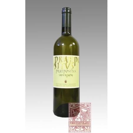 PRAEPOSITUS SAUVIGNON 2006 - ABBAZIA DI NOVACELLA