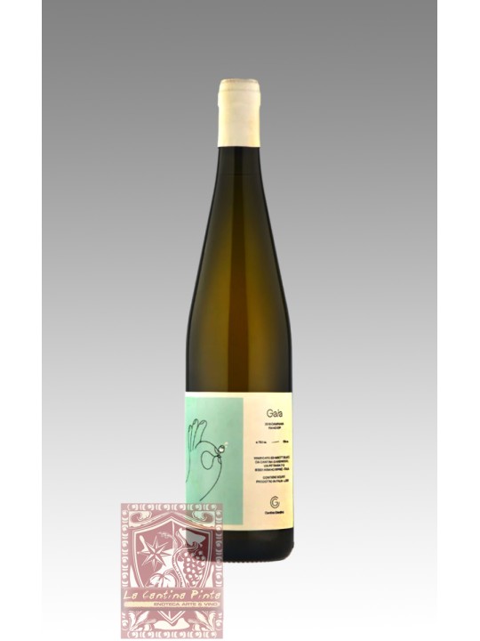 GAIA 2021 FIANO CAMPANIA IGP - CANTINA GIARDINO