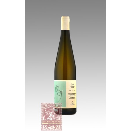 GAIA 2021 FIANO CAMPANIA IGP - CANTINA GIARDINO