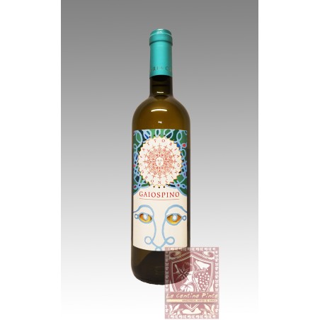 GAIOSPINO VERDICCHIO CLASSICO SUPERIORE 2018- FATTORIA CORONCINO