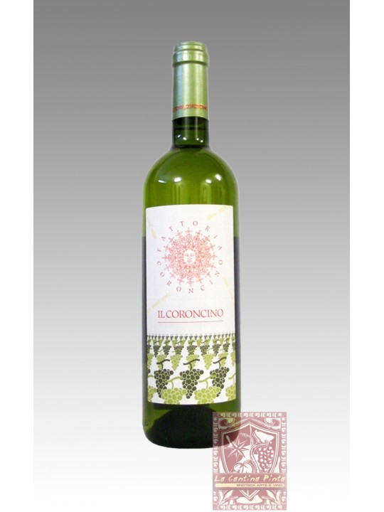 IL CORONCINO 019  VERDICCHIO CLASSICO SUPERIORE - FATTORIA CORONCINO